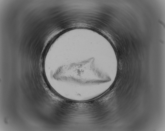 X0000096490987200802211233