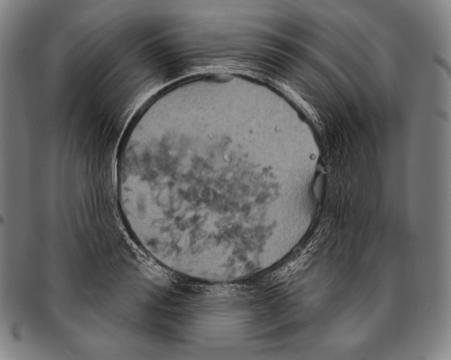 X0000096490988200802211233