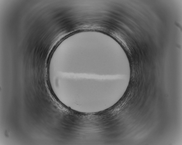 X0000096490992200802211233