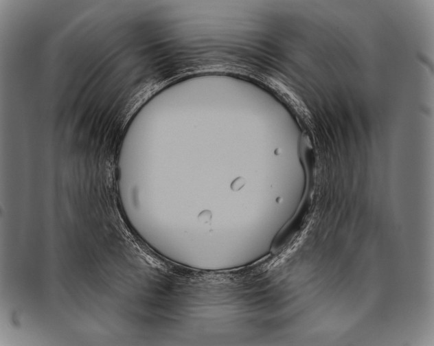 X0000096490993200802211233