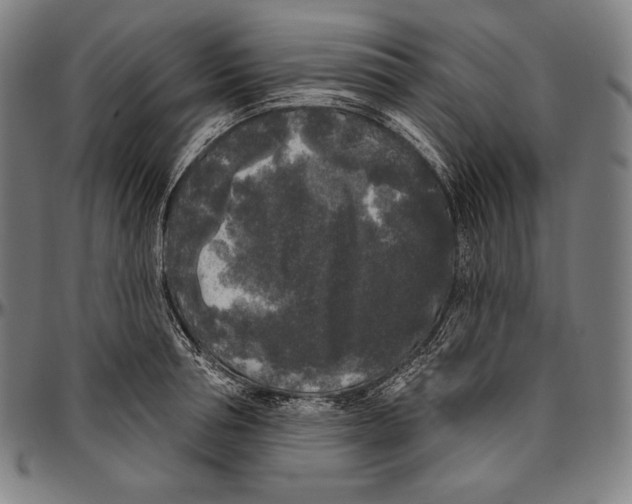 X0000096490994200802211233