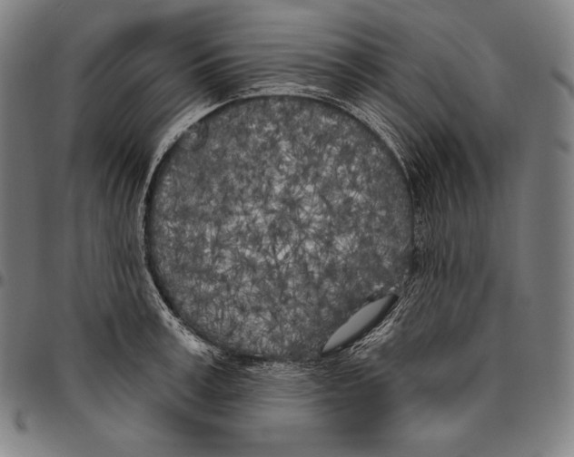 X0000096490995200802211233