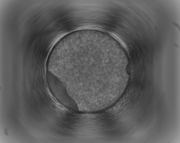 X0000096490996200802211233