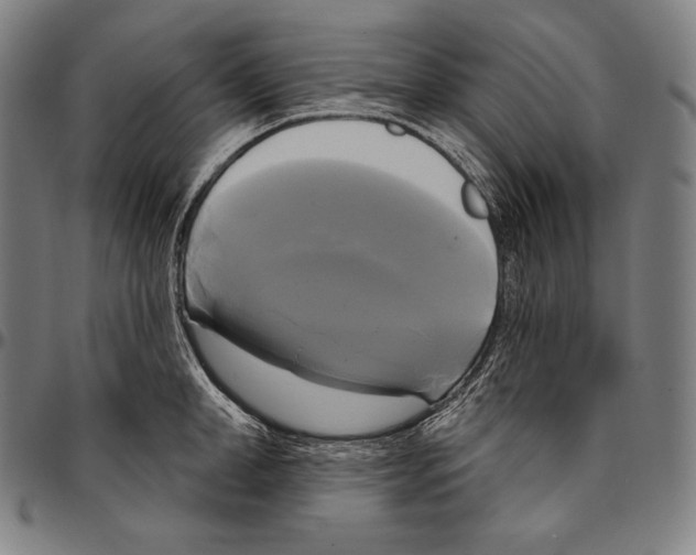 X0000096490998200802211233