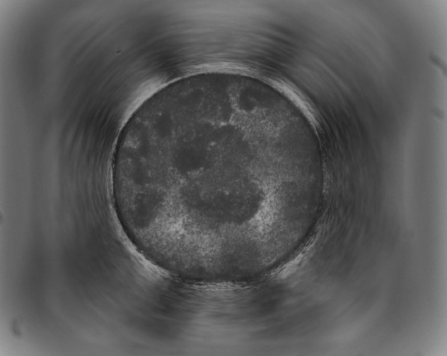 X0000096490999200802211233