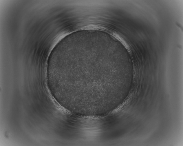 X0000096491000200802211233