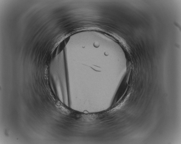 X0000096491001200802211233