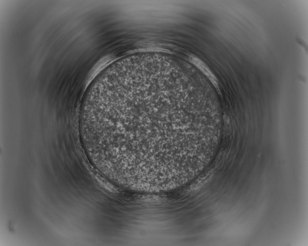 X0000096491002200802211233