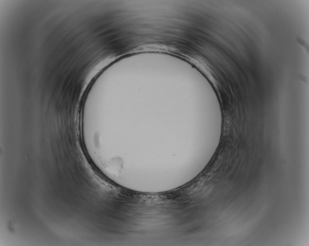 X0000096491003200802211233