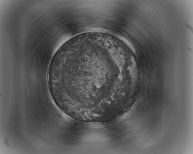 X0000096491007200802211233