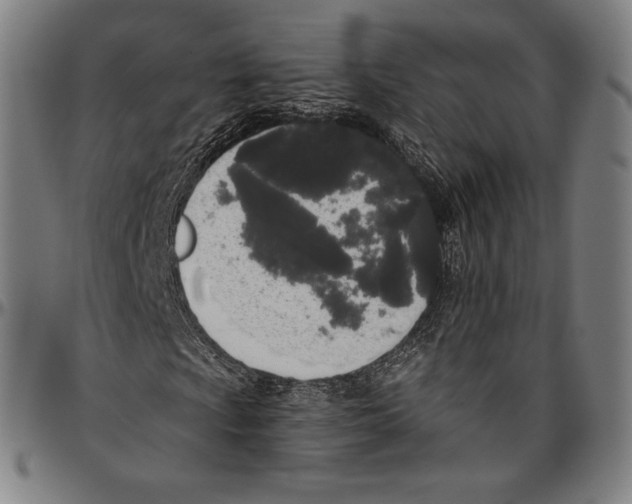 X0000096491009200802211232