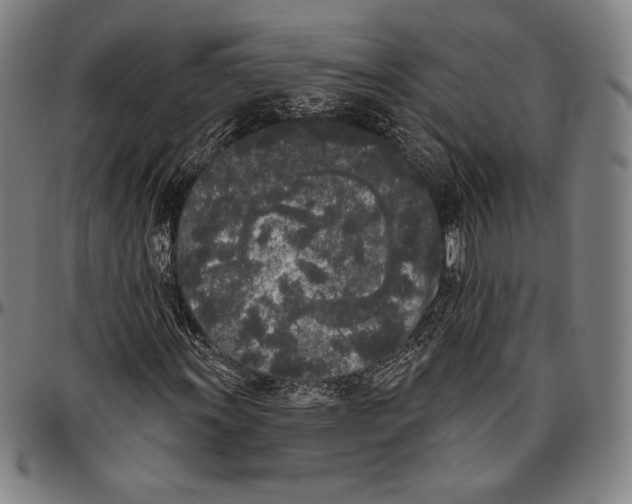 X0000096491011200802211232