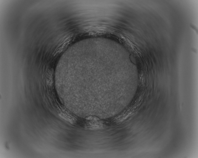 X0000096491012200802211232