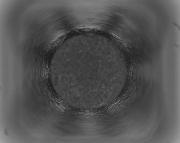 X0000096491014200802211232