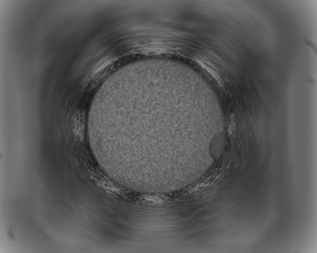 X0000096491015200802211232