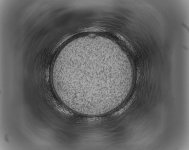 X0000096491017200802211232