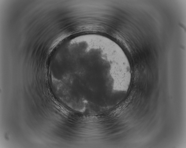 X0000096491019200802211233