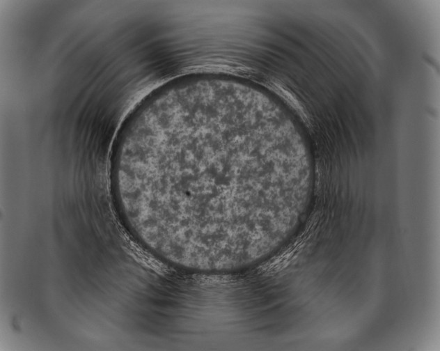 X0000096491020200802211233