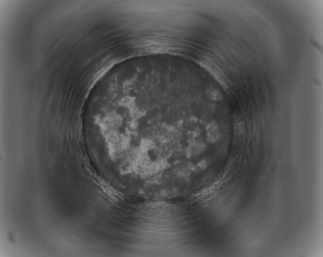 X0000096491023200802211233