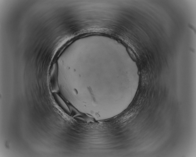 X0000096491024200802211233