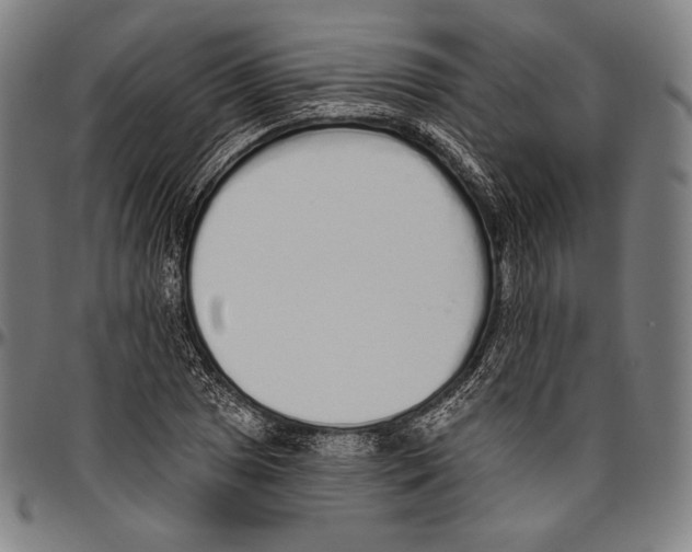 X0000096491025200802211233