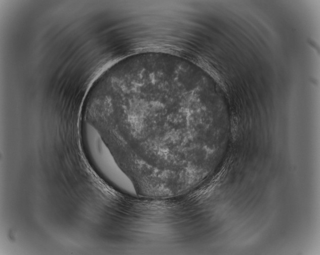 X0000096491028200802211233