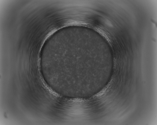 X0000096491029200802211233