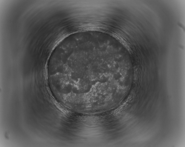 X0000096491031200802211233