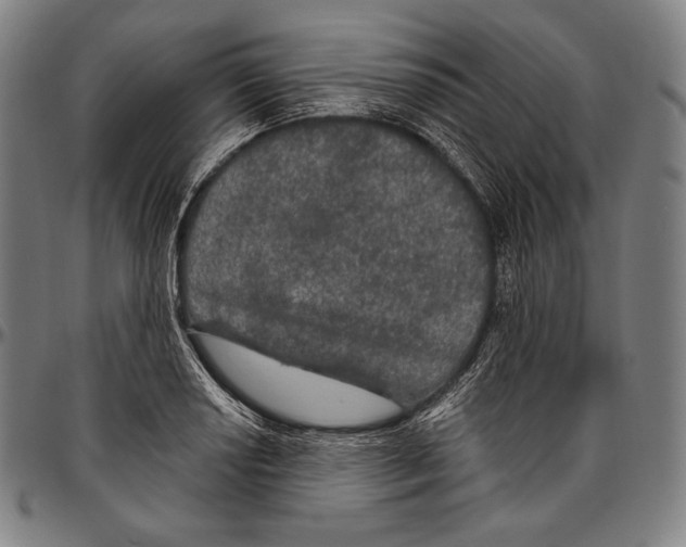 X0000096491034200802211233