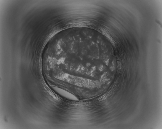 X0000096491035200802211233