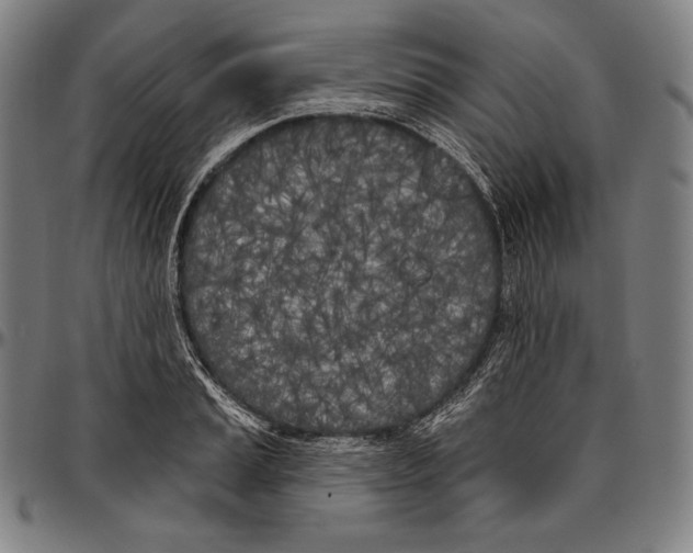 X0000096491037200802211233