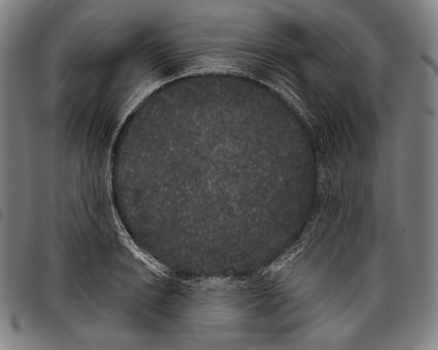 X0000096491038200802211233