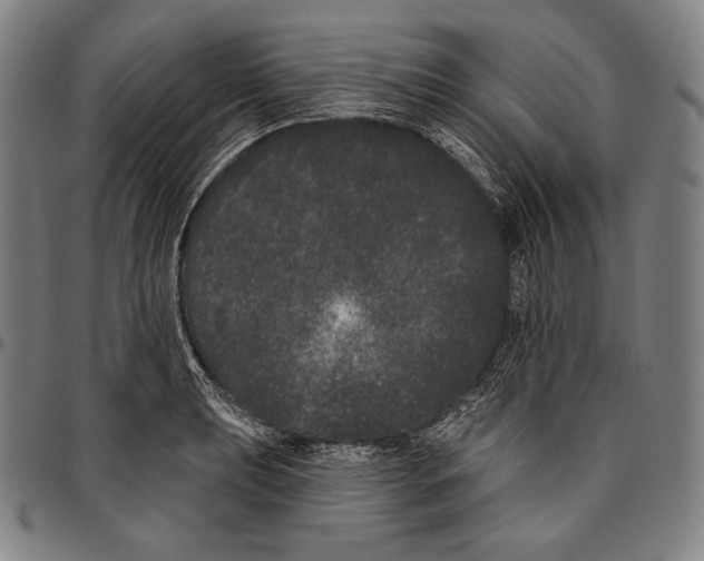 X0000096491039200802211233