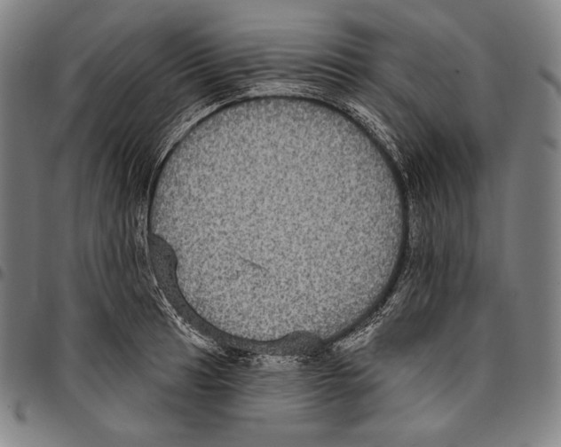 X0000096491041200802211233