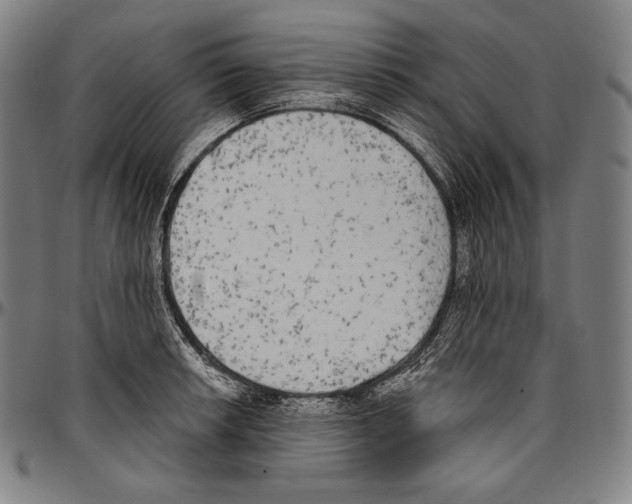 X0000096491042200802211233
