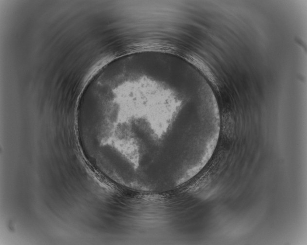 X0000096491043200802211233