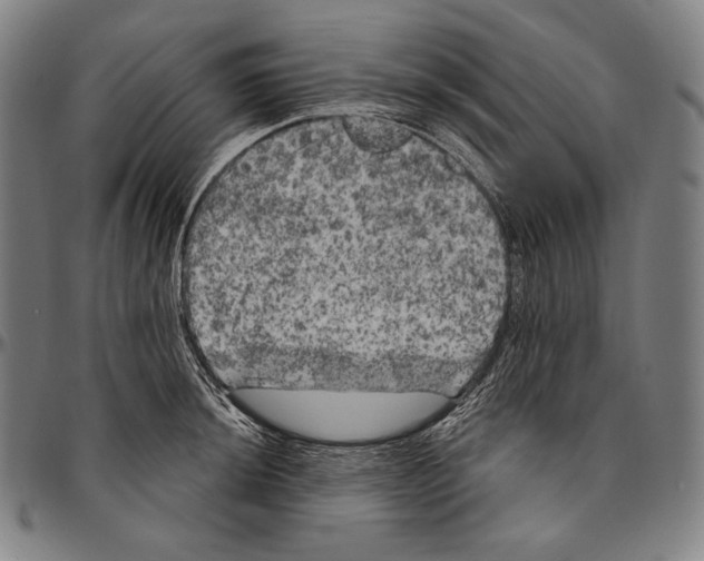 X0000096491044200802211233