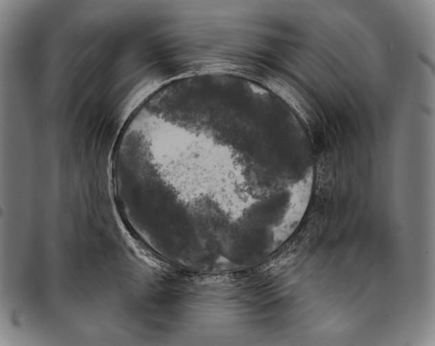 X0000096491047200802211233