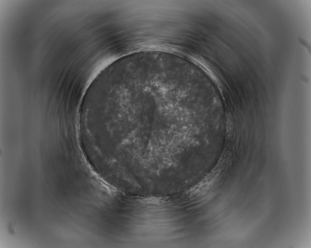 X0000096491048200802211233