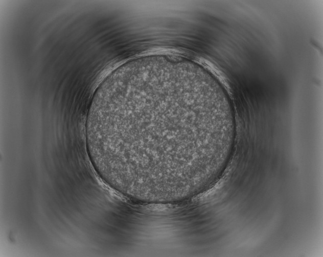 X0000096491049200802211233