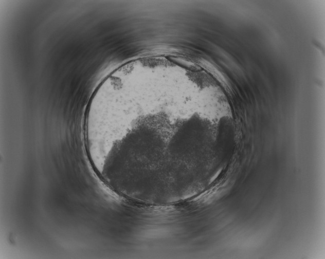 X0000096491055200802211233