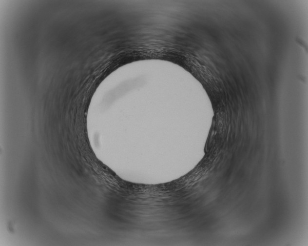 X0000096491057200802211232