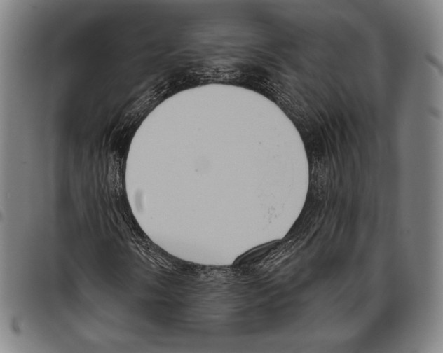 X0000096491058200802211232