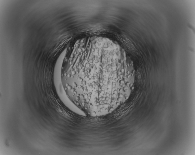 X0000096491060200802211232