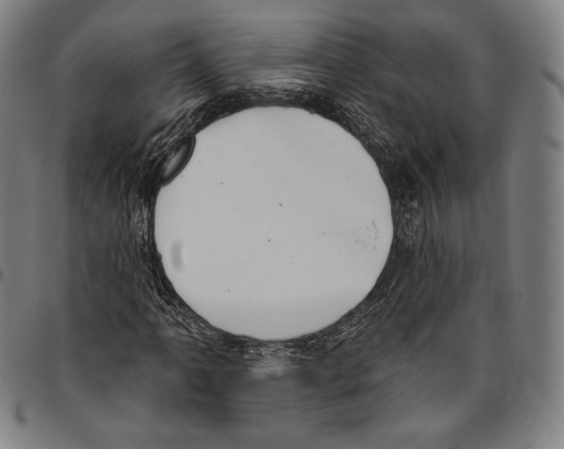 X0000096491061200802211232