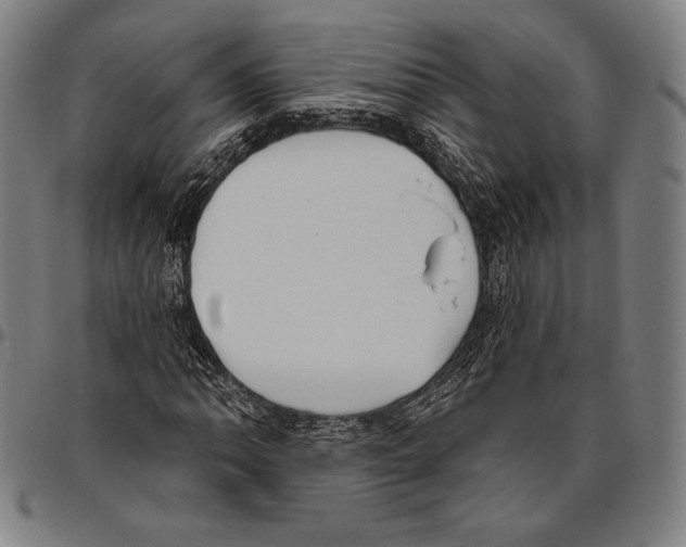 X0000096491062200802211232