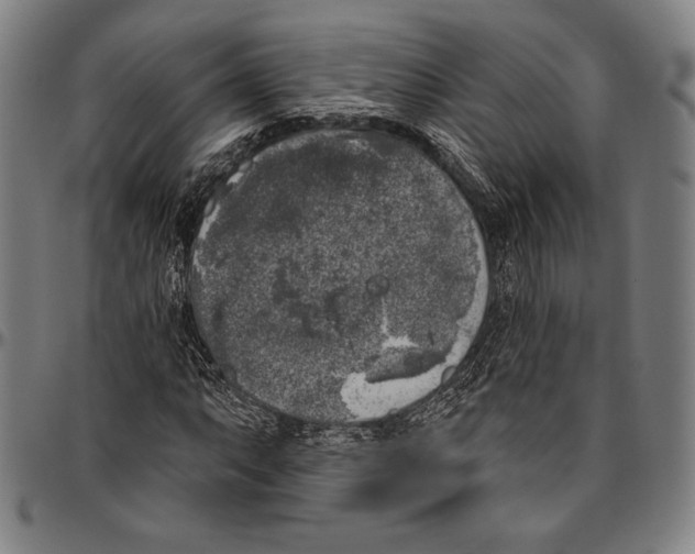 X0000096491063200802211232