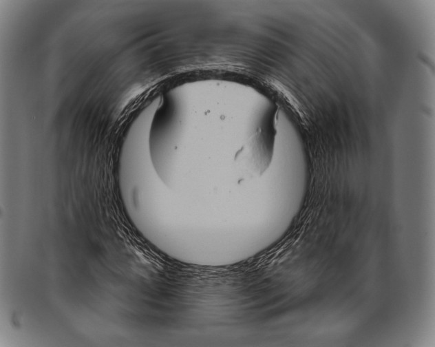 X0000096491064200802211232