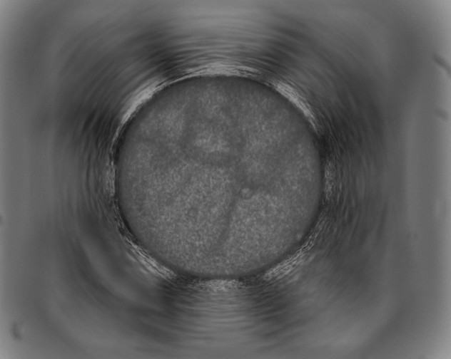 X0000096491067200802211232