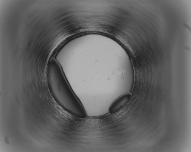 X0000096491068200802211232